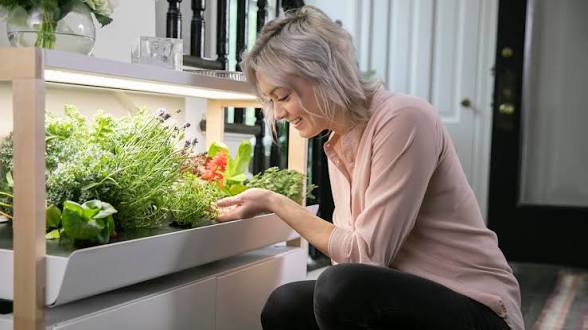 Ending Yield Drag: A Practical Guide to Unblocking Smart Garden Systems