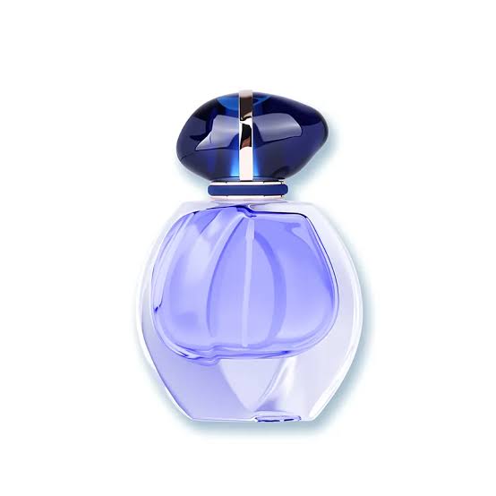 Circular Logic, Real-World Hands: A Comparative Insight into Round Perfume Bottles